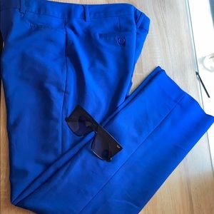 Electric Blue Express Business Pants